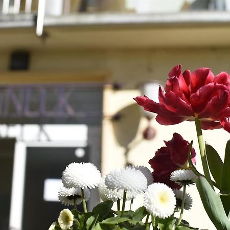 Hotel Haus Sonneck Marburg Exterior foto